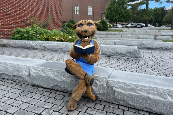 Untitled design - 2 Will D. Cat reading a book