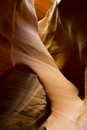 These Eyes by Paul Wilson