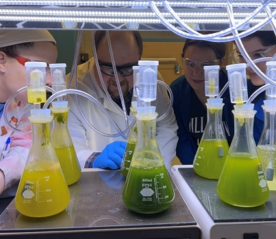 Dr. Eigenbodt and his student researchers check the status of algae growing under different variables. Dr. Eigenbodt and his student researchers check the status of algae growing under different variables.