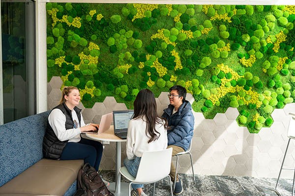 ASU486_20230316_0074 ASU486_20230316_0074