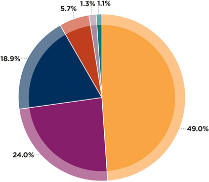 Pie chart showing expense distributions and percentages