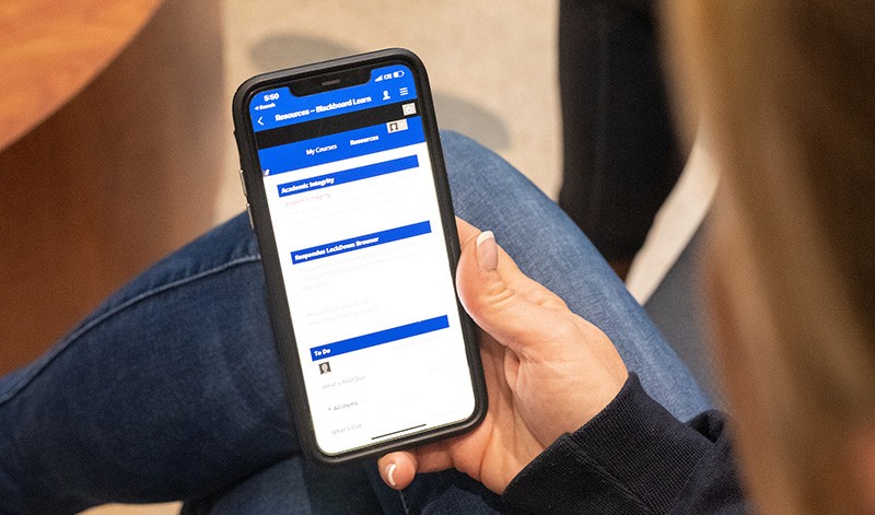 student completing survey on phone student completing survey on phone