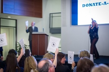 Public Interest Auction