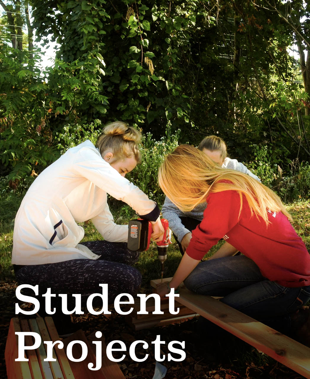 Student Projects Graphic