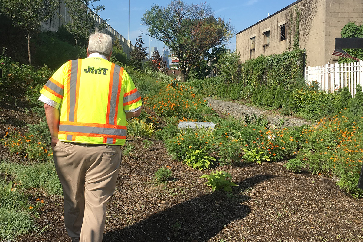 Rob Traver walking through I95 rain garden