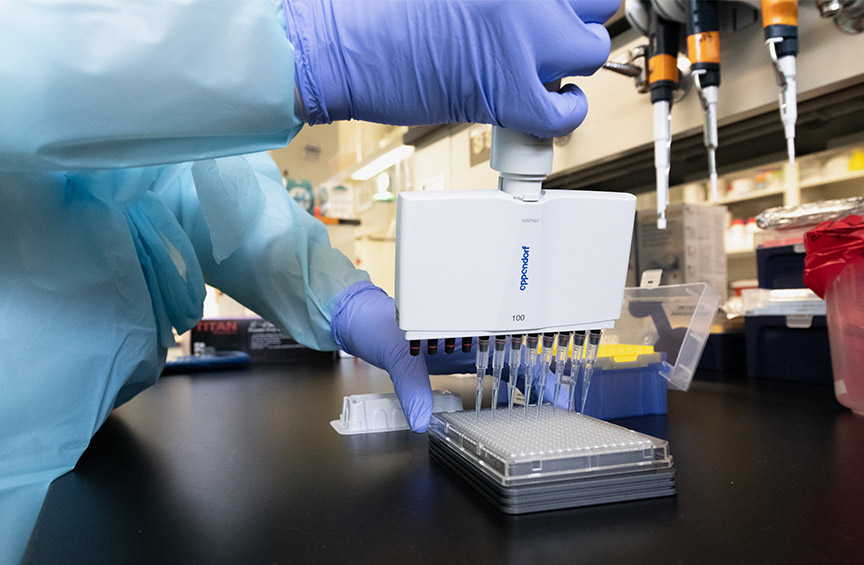 a technician performs COVID-19 testing with pipettes in a lab